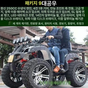사륜 오토바이 사발이 팜트럭, 대형 불 패키지 9, 기본 모델명/품번