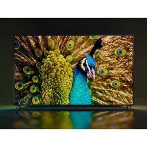 150인치 TV 4k 초대형 교회 스마트 티비 회의실 한국87인치