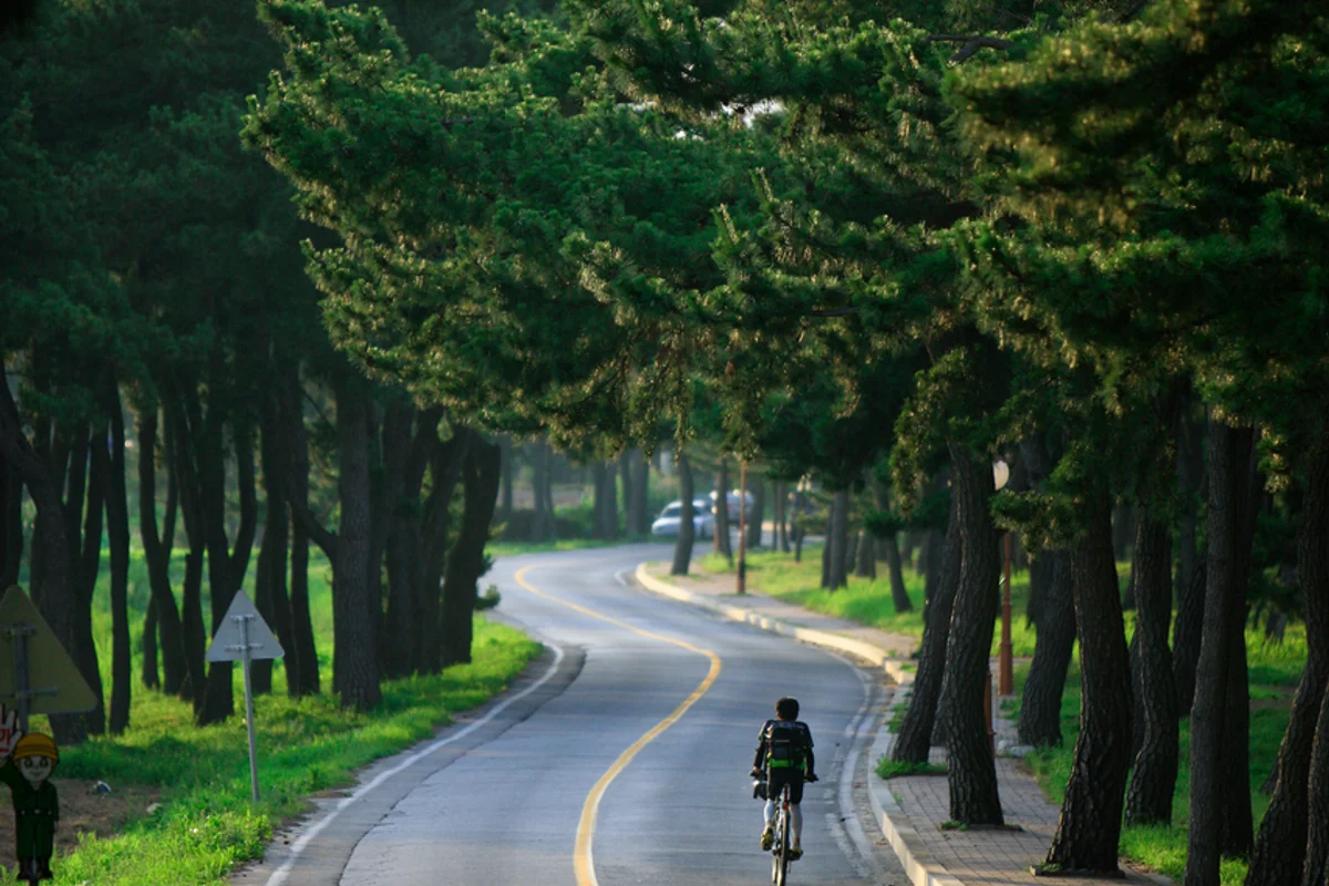 죽도공원 - 송정 여행