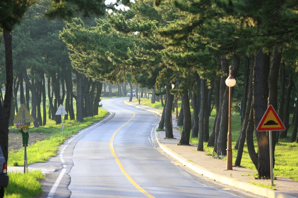 해동 용궁사 - 송정 여행