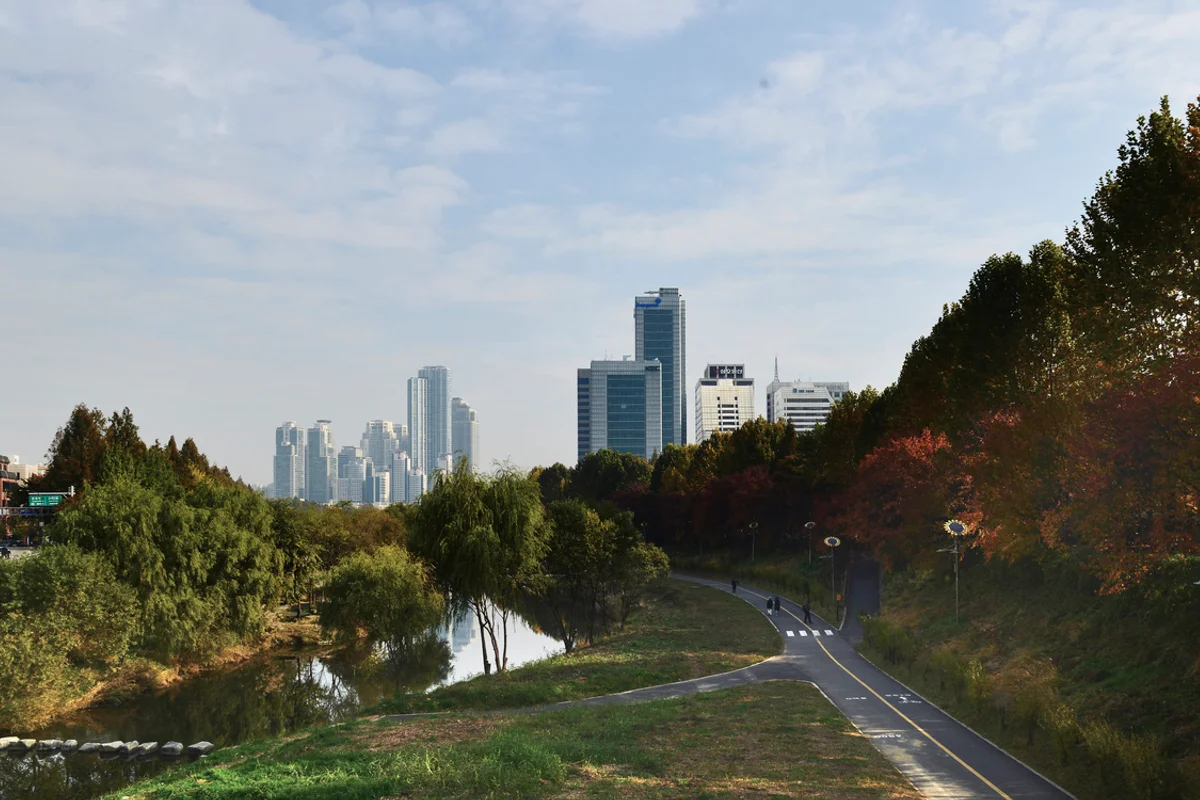 양재천 - 강남무료관광 여행