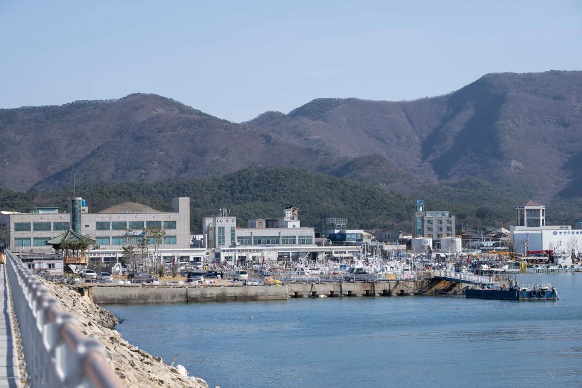 구룡포 근대문화역사거리 & 과메기문화관 - 포항여행 여행