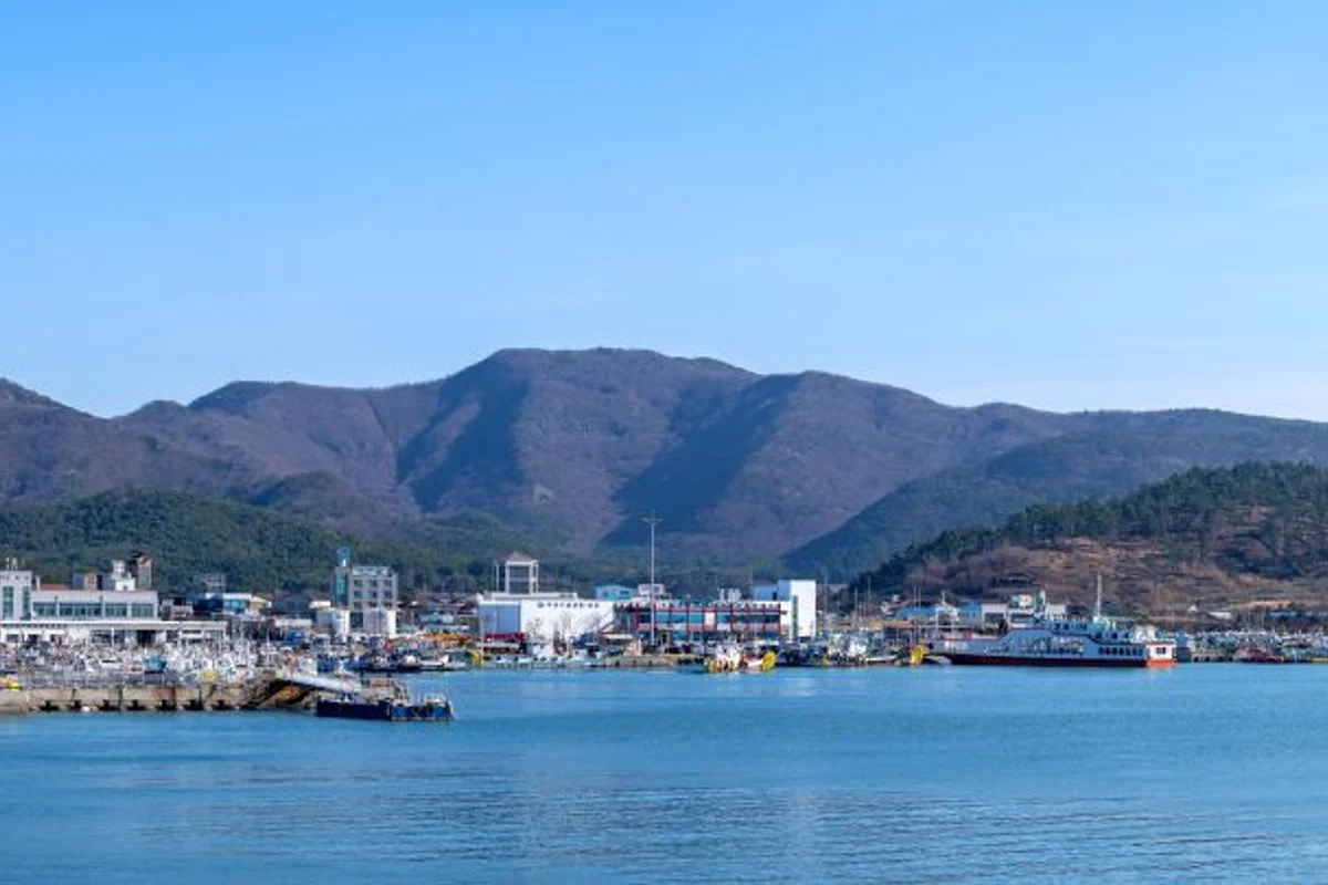 죽도시장 - 포항여행 여행