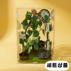 필핏 크레스티드 게코 사육장 도마뱀 파충류 은신처 세트