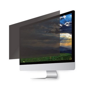 포가드 정보보호필름 리뉴얼 신제품 정보보안 블루라이트차단, 27W-C(606x342), 1개