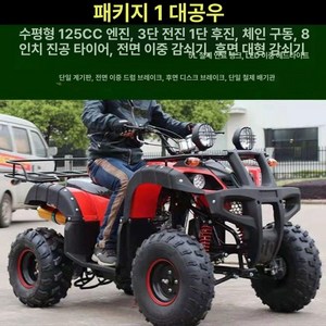 사륜 오토바이 사발이 팜트럭, 대형 불 패키지 1, 기본 모델명/품번