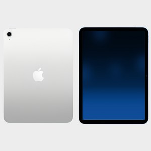 Apple 아이패드 11세대 A16 실버 256GB, WiFi전용 새제품 국내판 정품