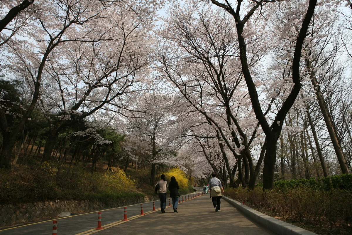 남산산책로 - 중구등산 여행