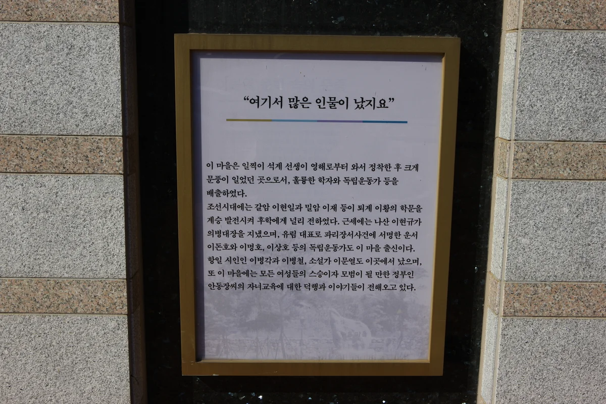 영양자작나무숲 - 영양캠핑 여행