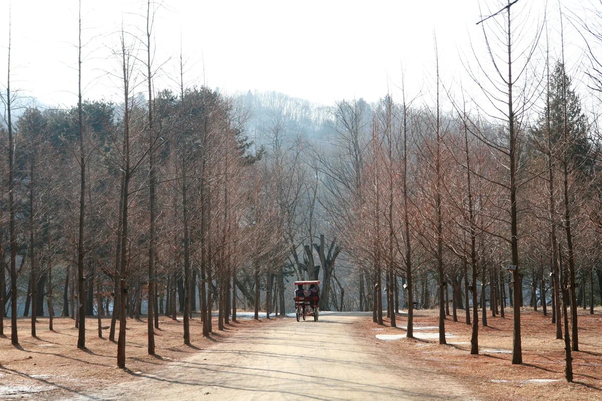 남이섬 공예원 - 남이섬 여행