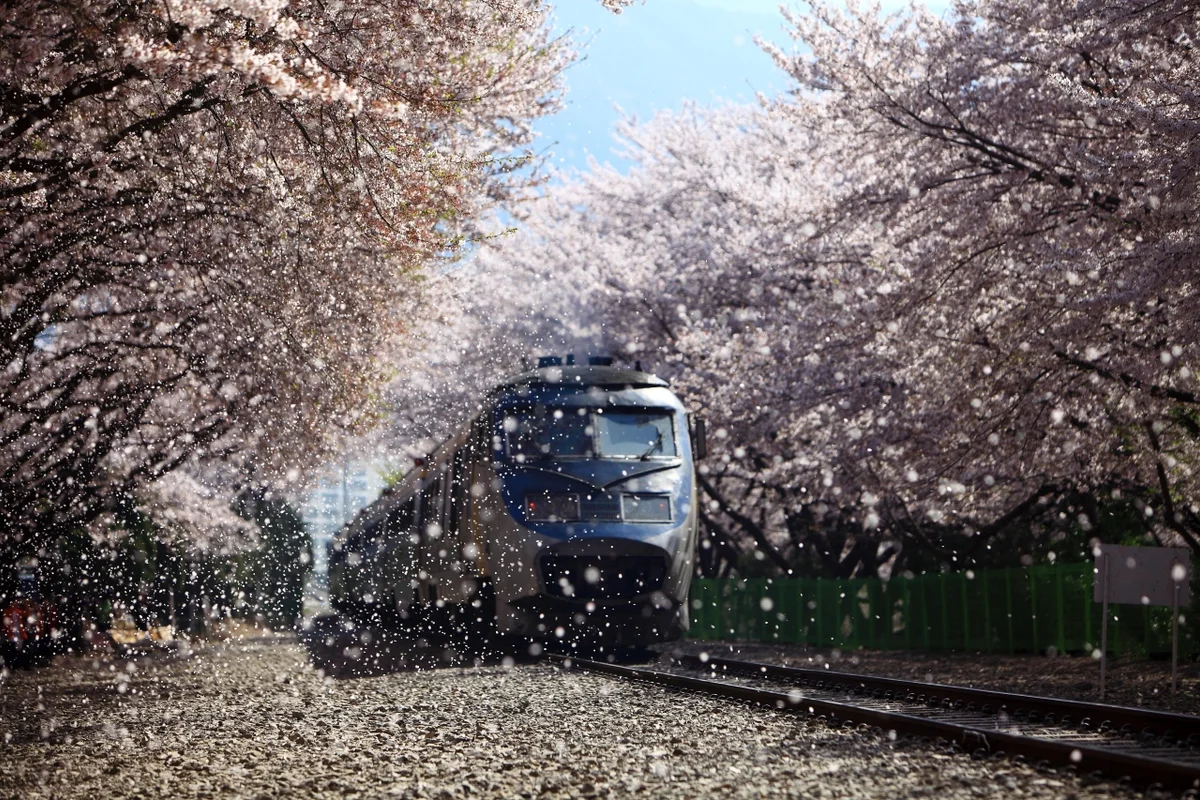 ktx 서울 부산 직행 (출처 : 한국관광공사)