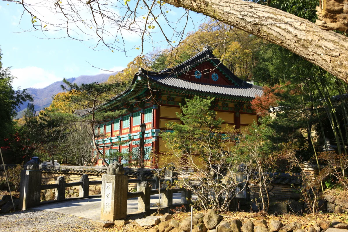 쌍계사 성보박물관 - 하동여행 여행