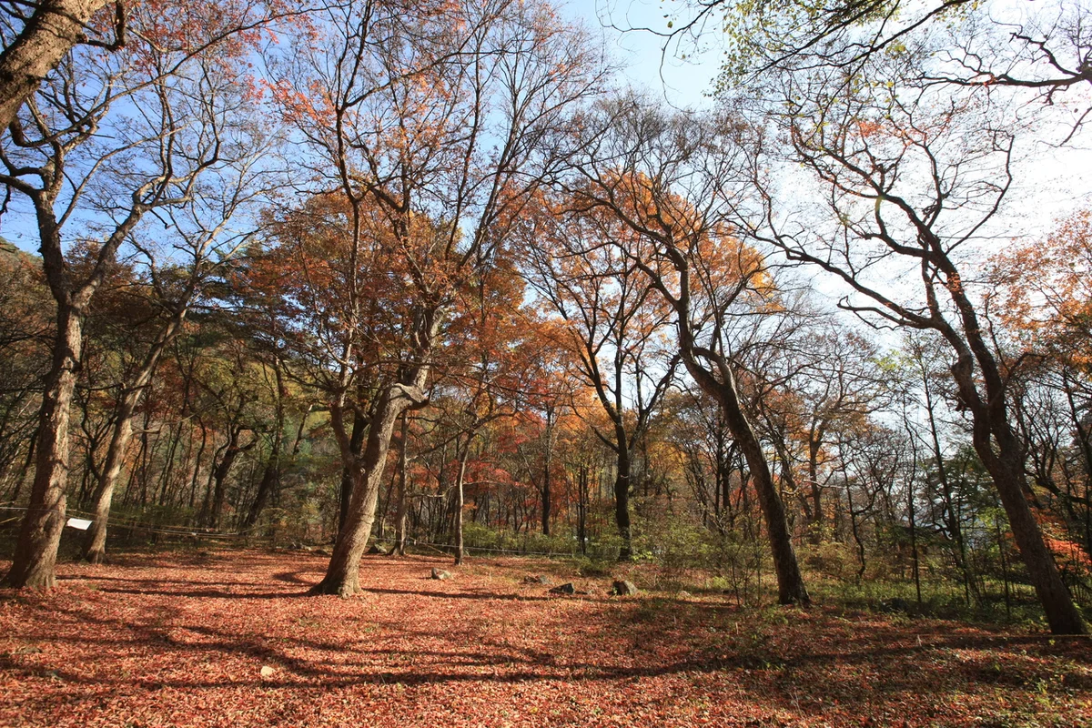 한국잡월드 - 성남 여행