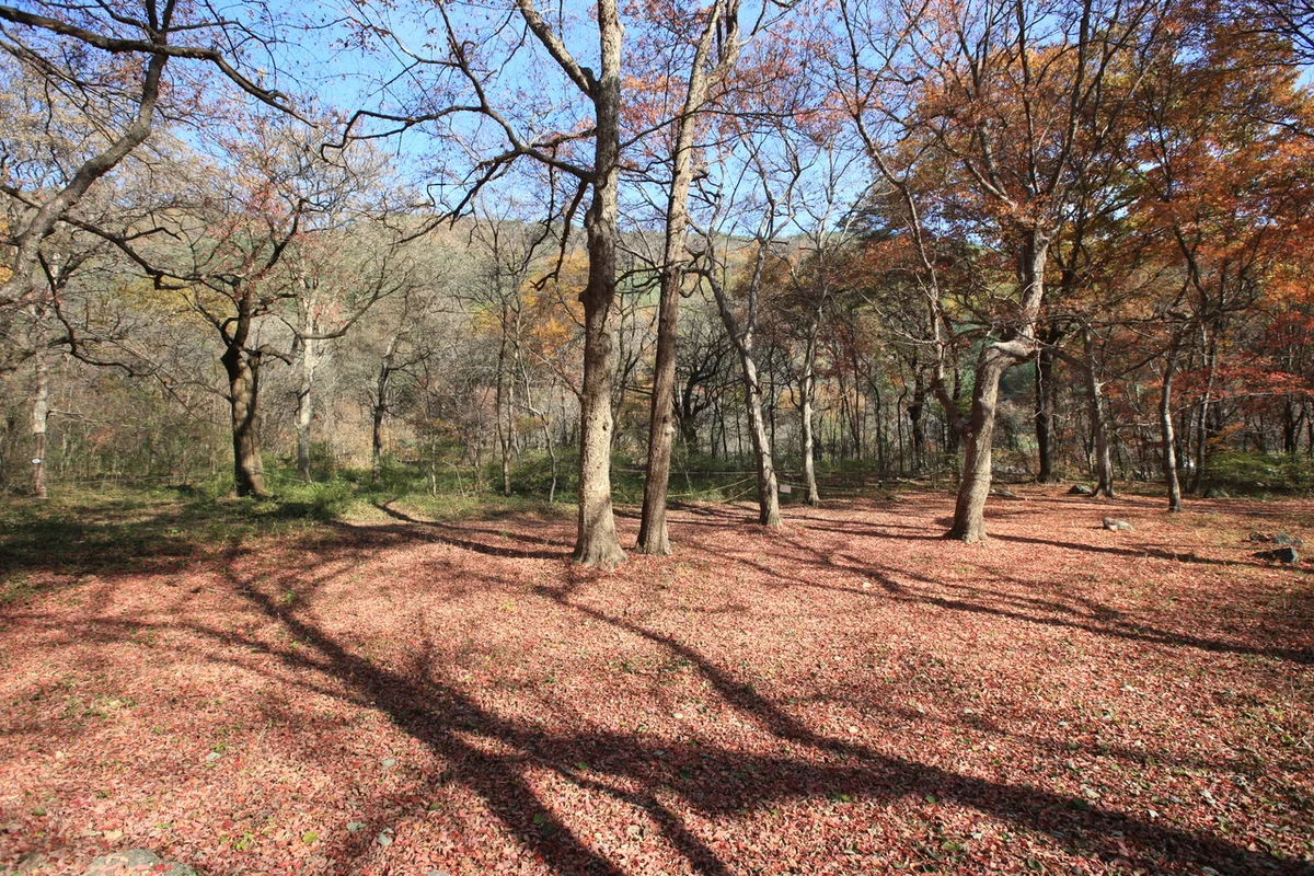 화랑공원 - 성남 여행