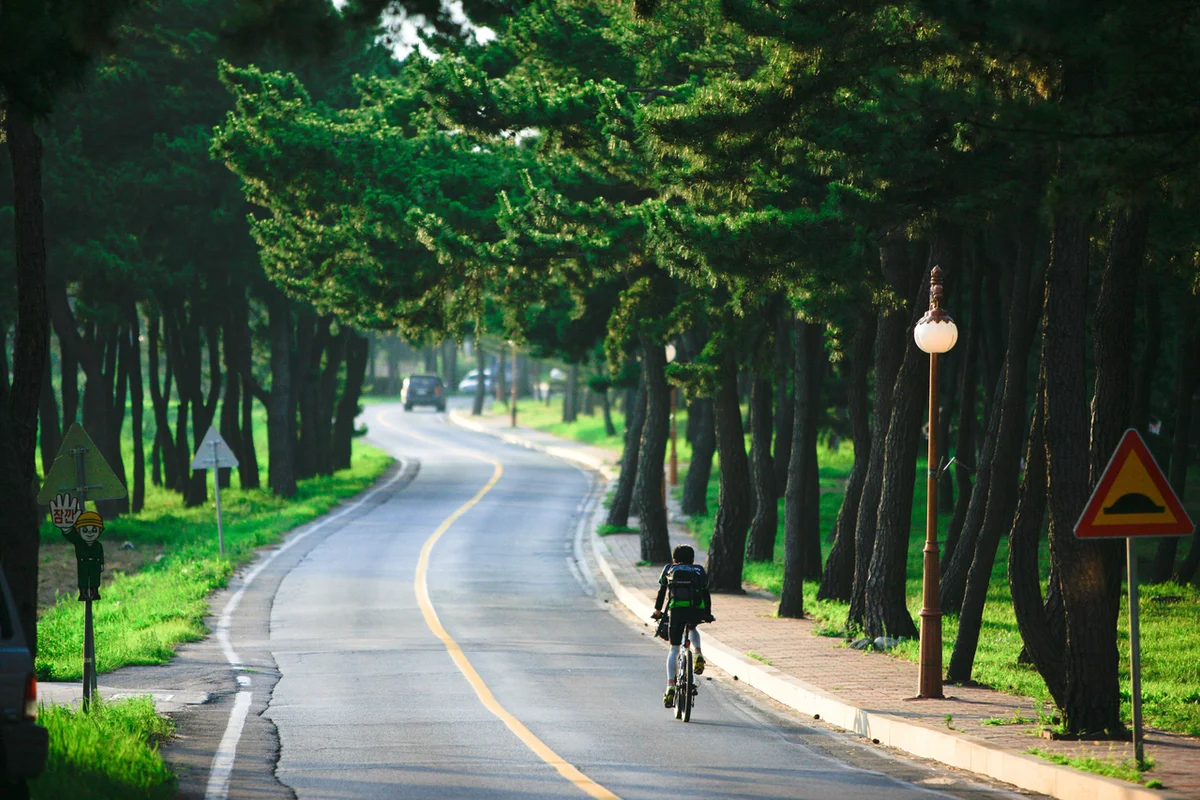해운대블루라인파크 송정정거장 - 송정캠핑 여행