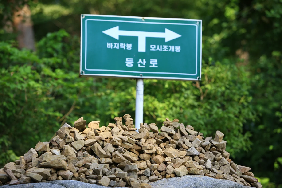 안면도자연휴양림 - 태안여행 여행
