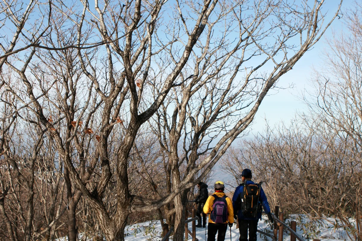 가지산 - 울산등산 여행