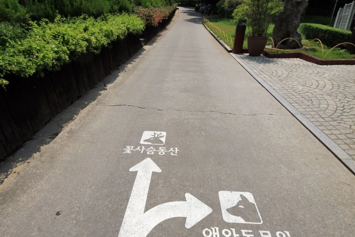 베어트리파크 - 세종시여행 여행