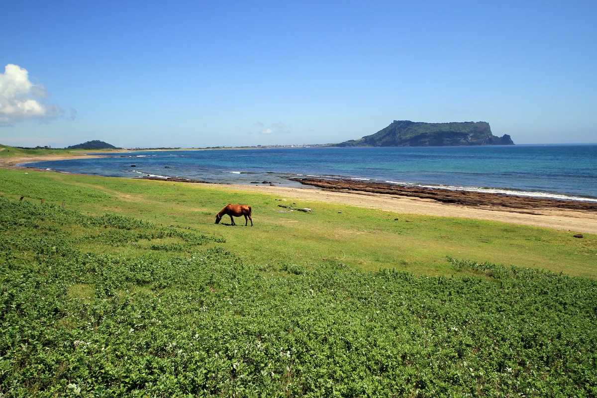 성산일출봉, 성산 가성비 숙소 여행의 핵심 - 제주여행 여행