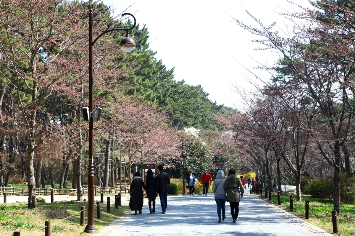대왕암 - 울산여행 여행