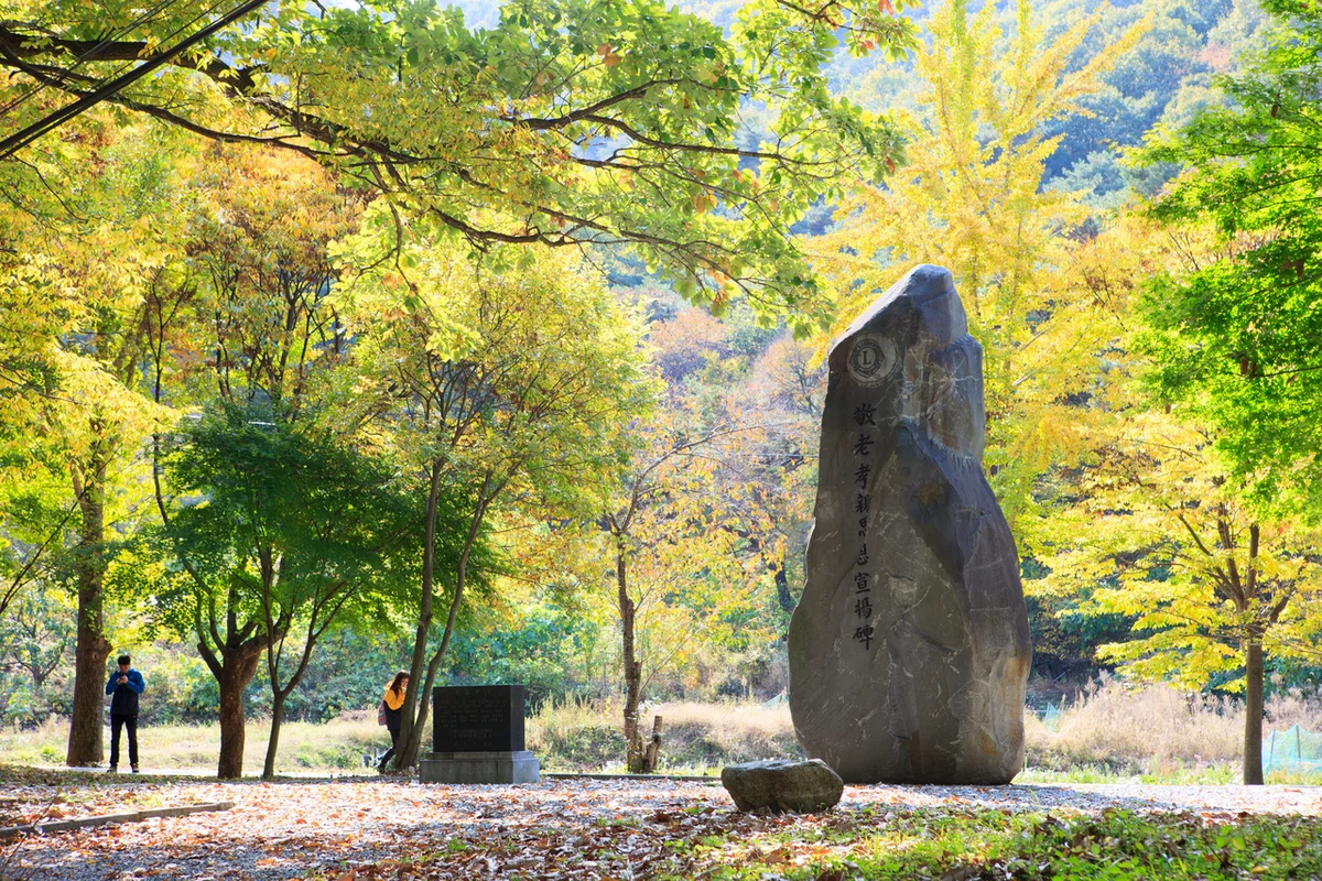 삼성현역사문화공원 - 경산시등산 여행