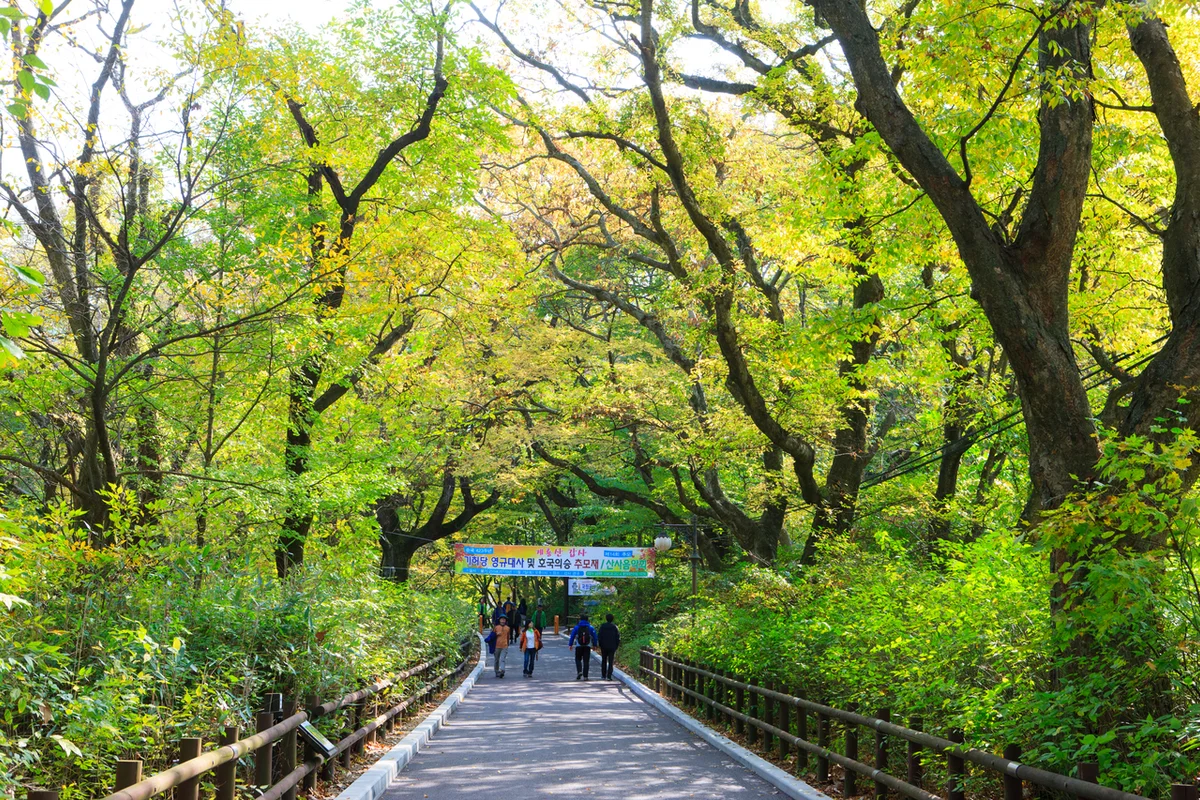 한라산의 첫걸음, 어승생악 - 제주시내 등산 여행