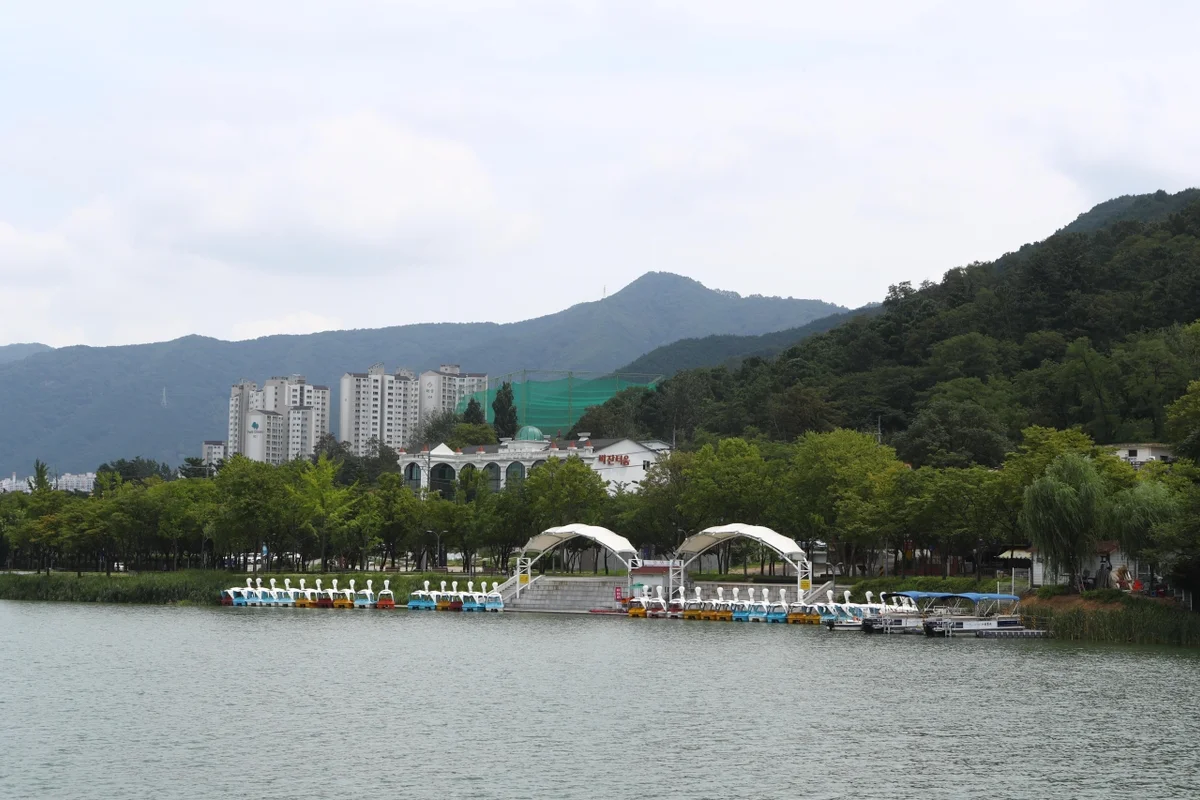 수성못 라벤더 축제 (출처 : 한국관광공사)