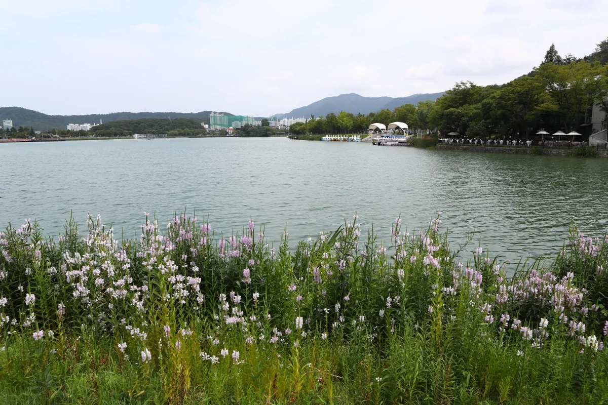 에디터 추천: 2026 수성못 핫플 베스트 - 대구여행 여행