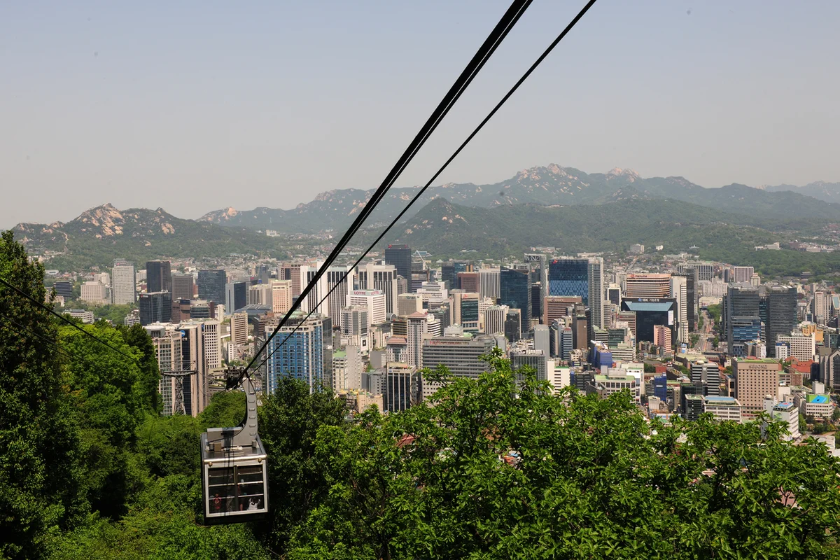 남산 벚꽃길 - N서울타워 여행