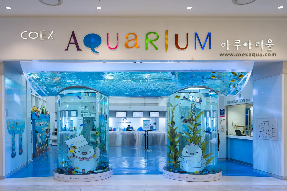 남구 아쿠아리움 (출처 : 한국관광공사)