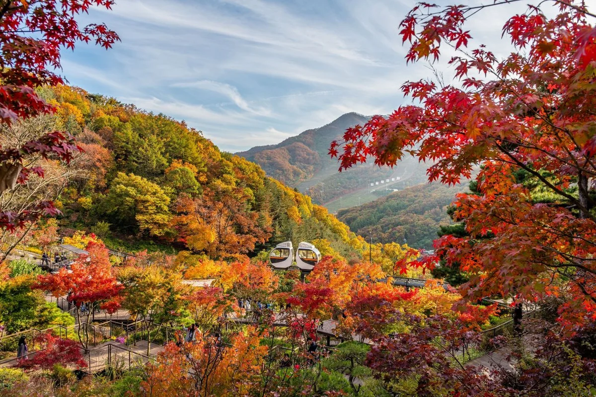 화담숲 - 경기여행 여행