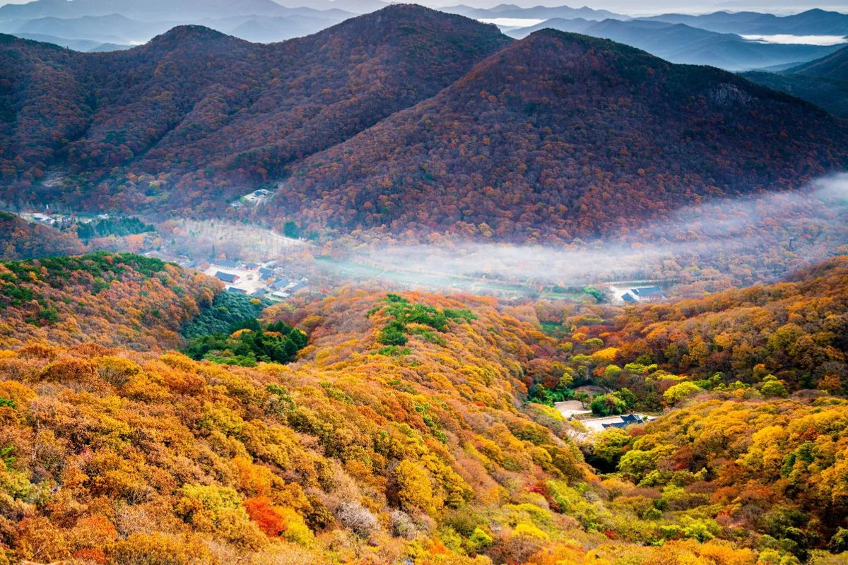 선운산 도립공원 - 선운사 여행