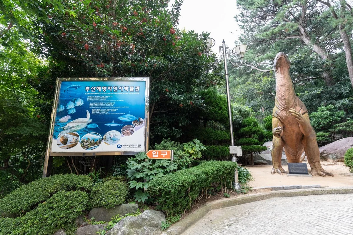 부산 해양자연사박물관: 동래 아기랑 가볼만한곳 - 동래여행 여행