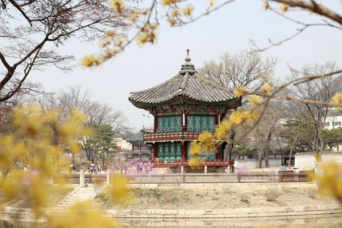 오패산 - 수유반려견 여행
