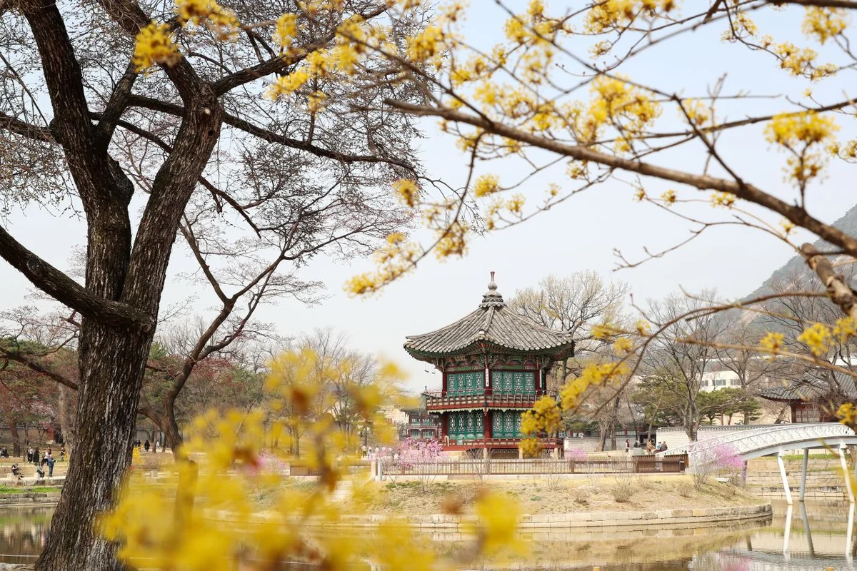 오동근린공원 유아숲체험장 - 수유 체험 여행