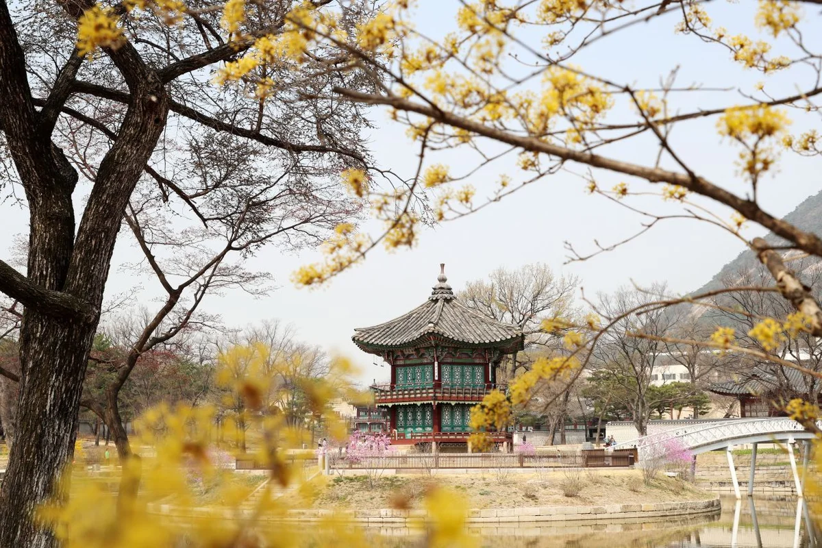 우이천변 산책로 - 수유반려견 여행
