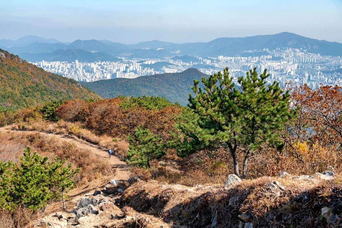 부산진 식물원 (출처 : 한국관광공사)