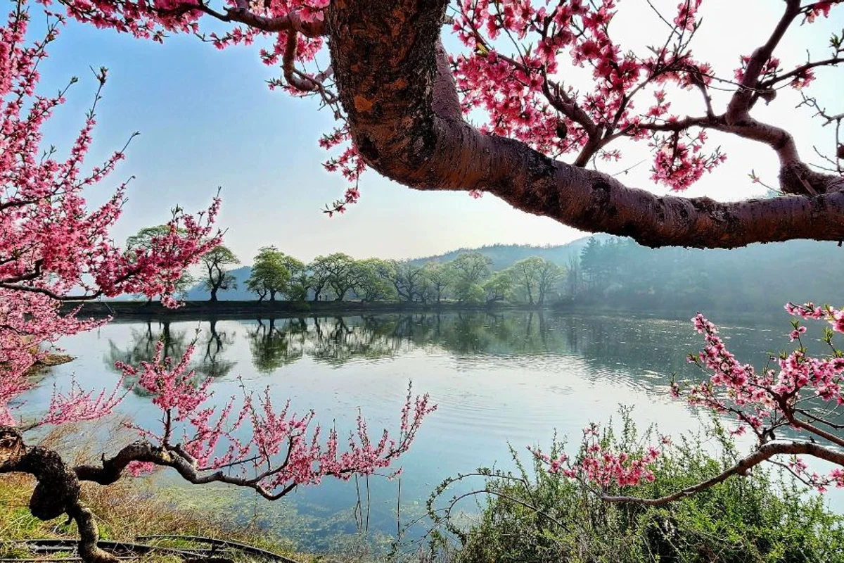반곡지 - 경산시등산 여행