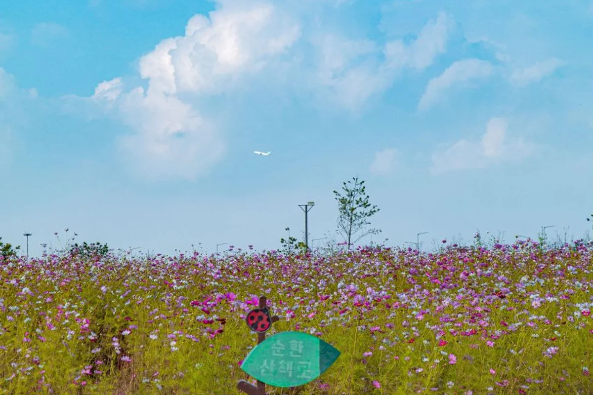 계양 주차 편한 곳 (출처 : 한국관광공사)