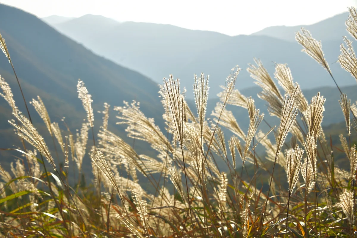 신불산 - 울산등산 여행