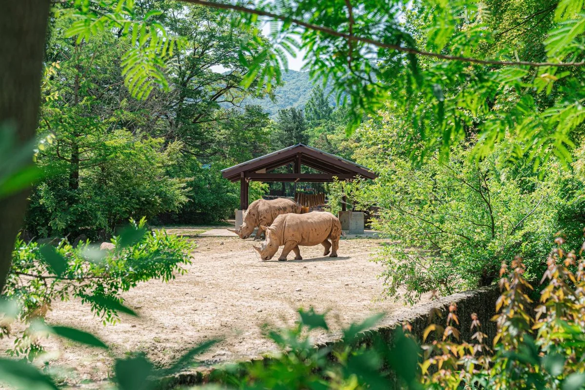 서울대공원 입장료 (출처 : 한국관광공사)