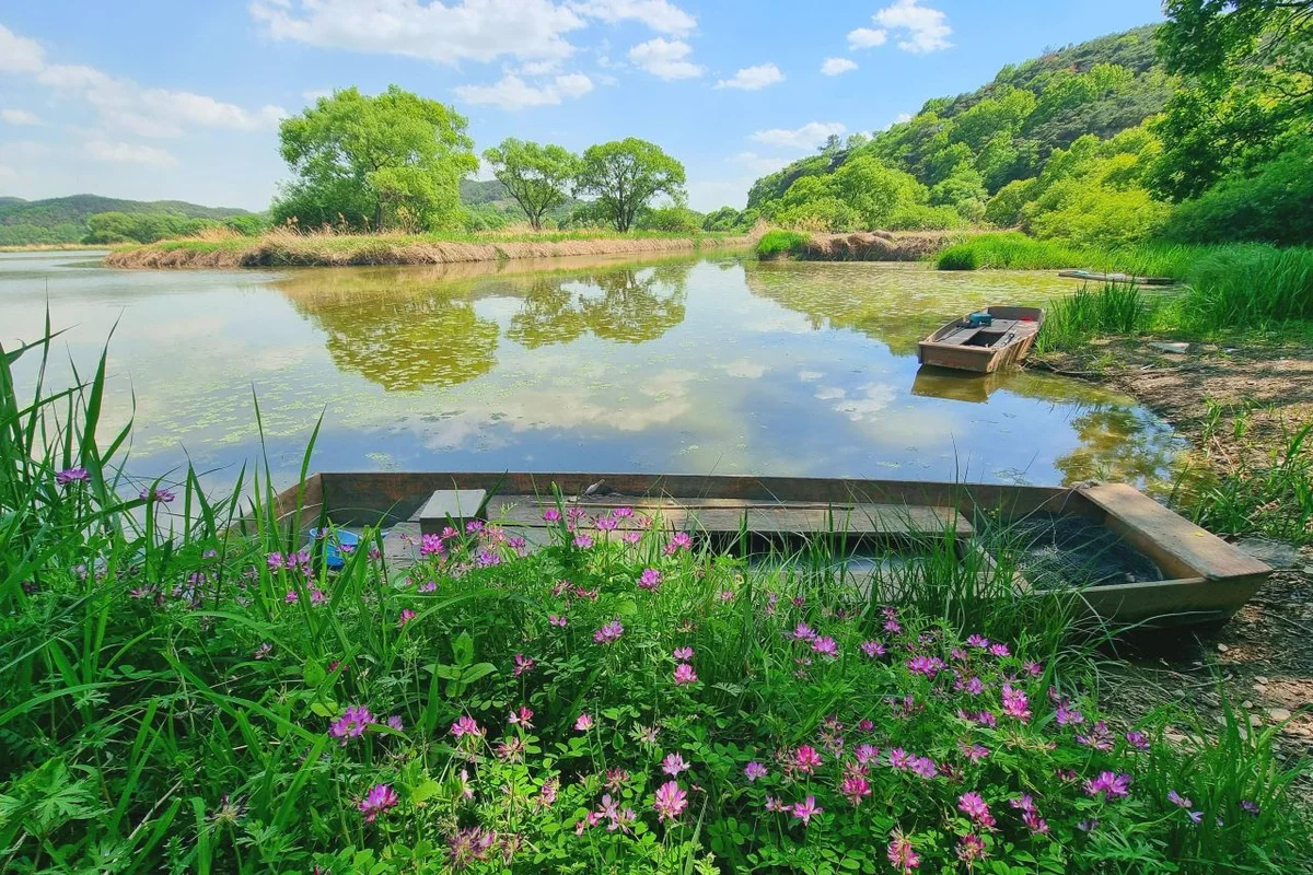 화왕산자연휴양림무장애나눔길 - 창녕군 여행