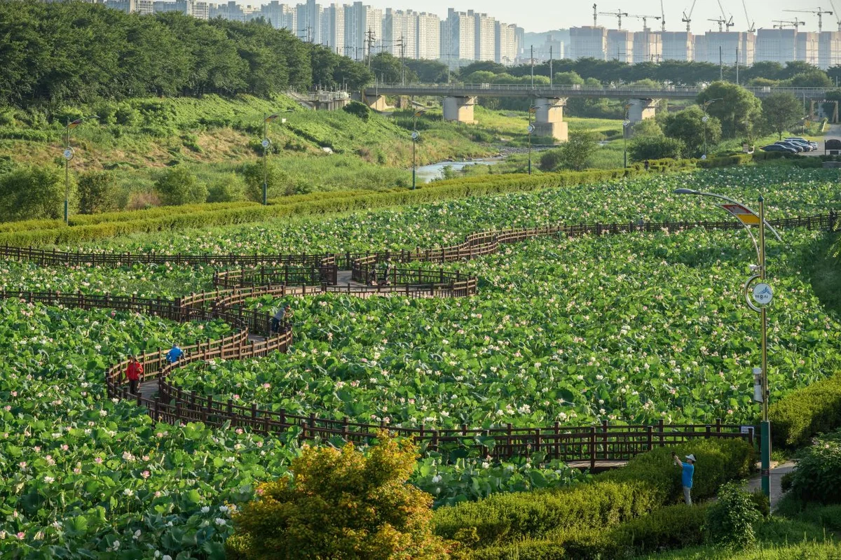조치원문화정원 - 조치원여행 여행