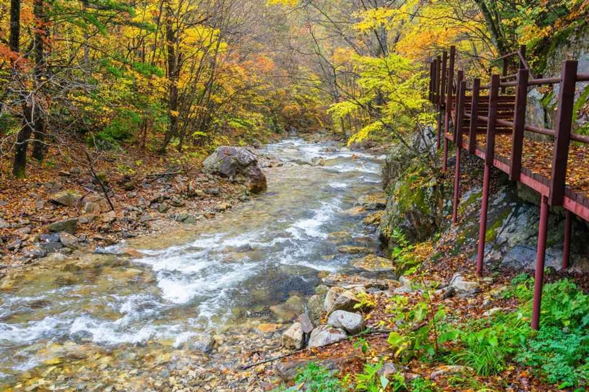 평창군 2박3일 (출처 : 한국관광공사)