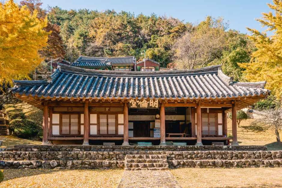 헤이리치타조농장 - 함안군 여행