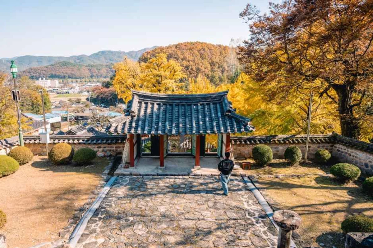 피카그린 - 함안군 여행