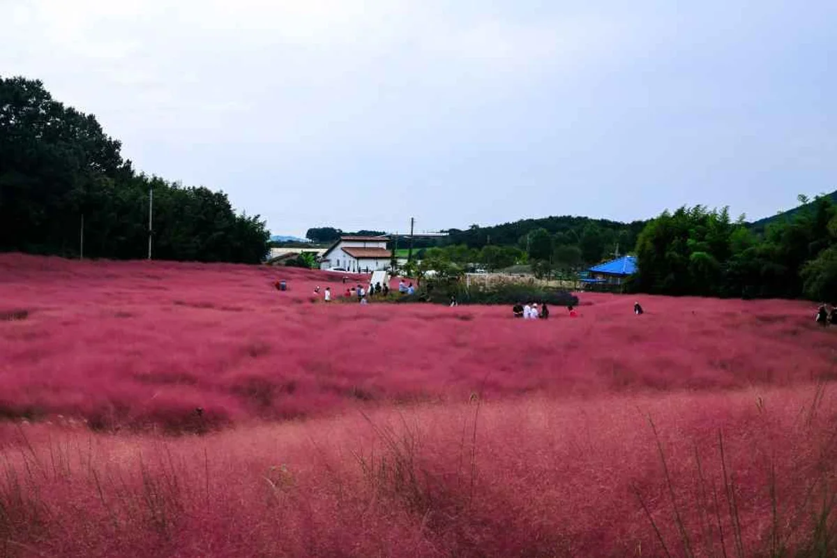 경기도국민안전체험관 - 동탄여행 여행