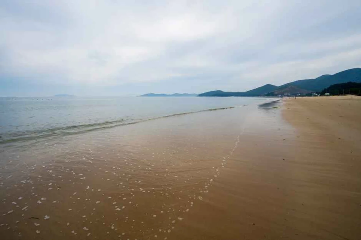 신흥사 - 완도여행 여행