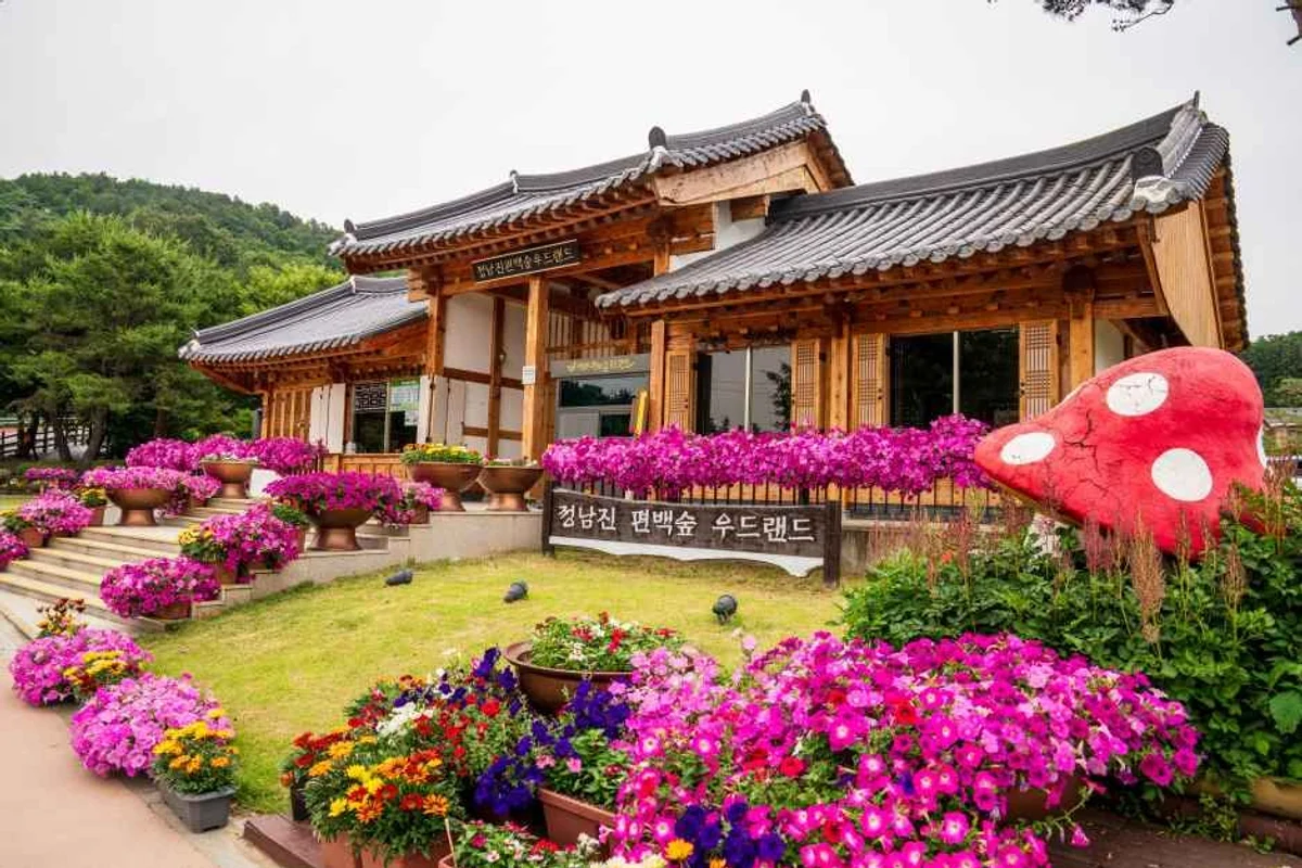 장흥 편백숲 우드랜드 - 장흥여행 여행