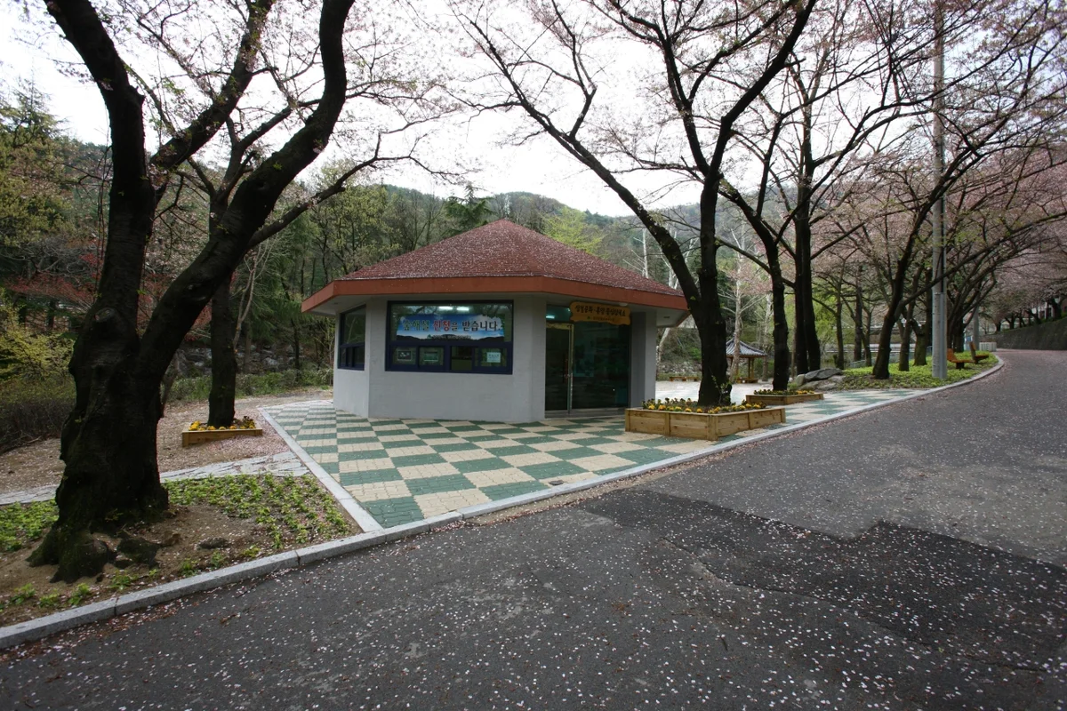 앞산공원 - 대구여행 여행